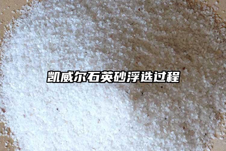 生产厂家麻豆精品无码在线砂浮选过程